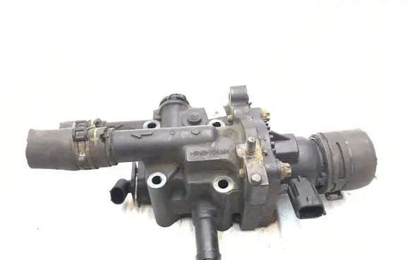 Thermostat/thermostat housing