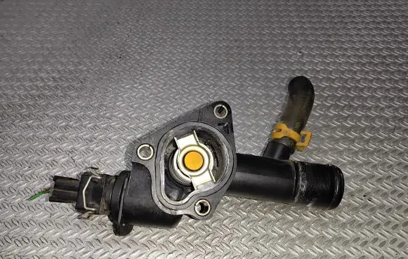 Thermostat/thermostat housing