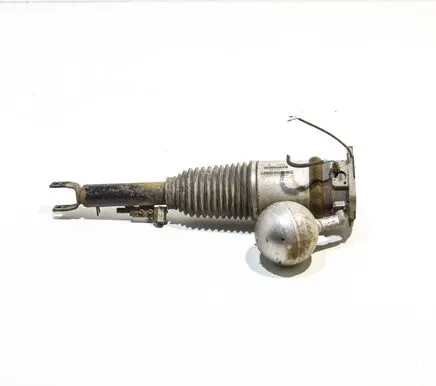 Volkswagen Phaeton Rear shock absorber/damper 3D0616002G