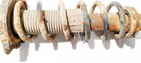 Rear coil spring