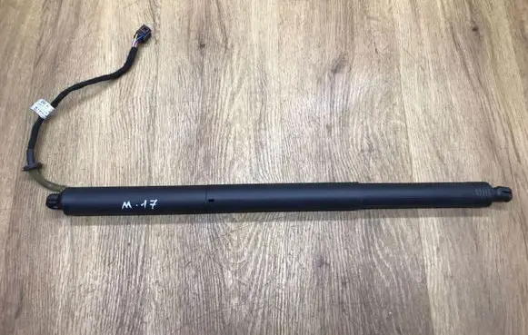 Tailgate/trunk strut/damper