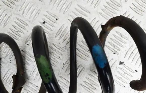 Rear coil spring