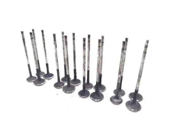 Opel Insignia A Valve 16PCS