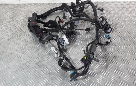 Engine installation wiring loom