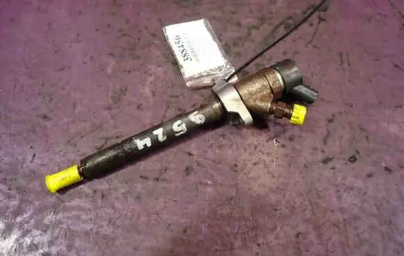 Citroen Xsara Picasso Fuel injector 