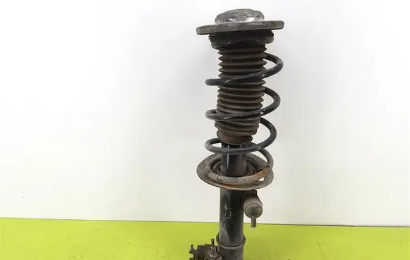Opel Vectra C Front shock absorber with coil spring