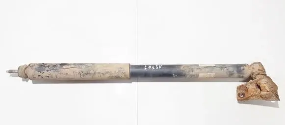 Toyota RAV 4 (XA20) Rear shock absorber/damper 4853142120 48531-42120