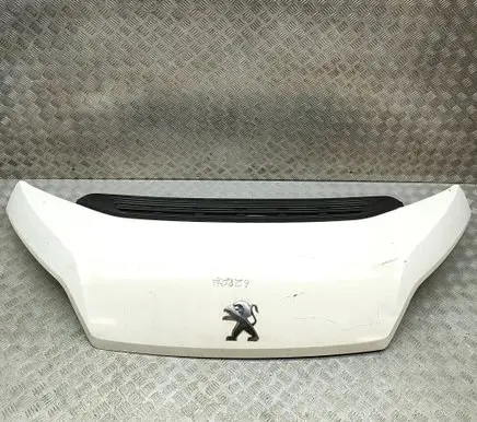 Peugeot Boxer Engine bonnet/hood 1612246980