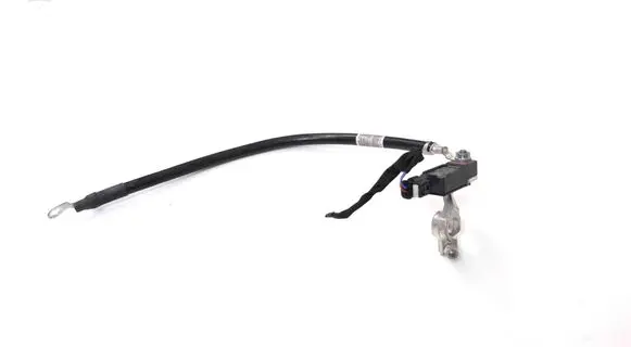 Mercedes-Benz E W238 Positive wiring loom A0009058912