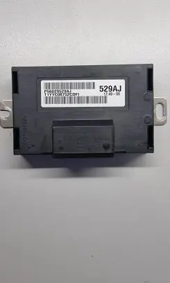 Chrysler 300C Other control units/modules P56029529AJ