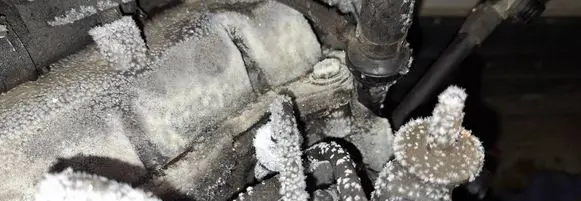 Volkswagen Bora Fuel injector 
