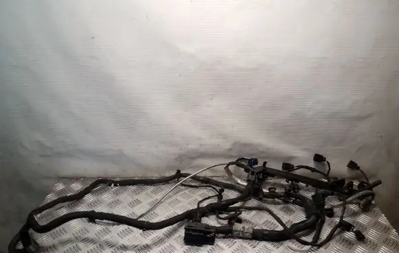Engine installation wiring loom