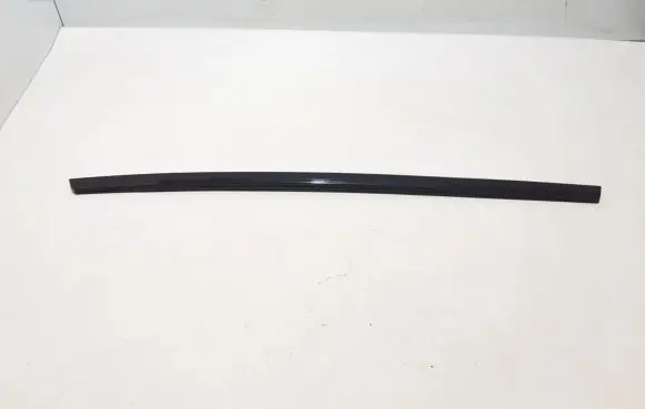Tesla Model S Rear door trim (molding) 1038395