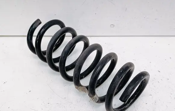 Rear coil spring
