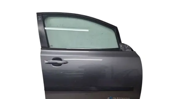 Nissan Leaf I (ZE0) Front door