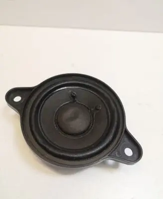 Panel speaker