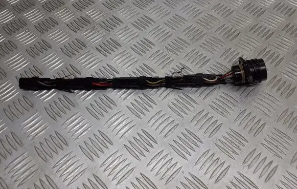 Audi A6 S6 C5 4B Fuel injector wires 038971803