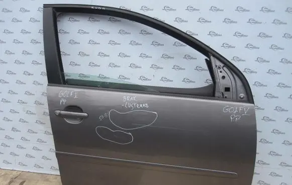 Volkswagen Golf V Front door