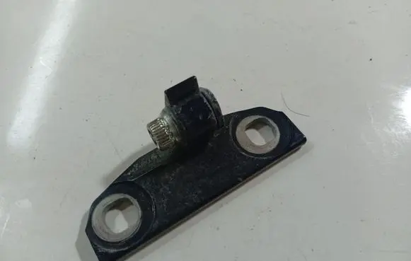 Volvo S80 Rear door lower hinge 