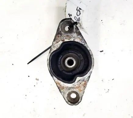 Coil spring mount