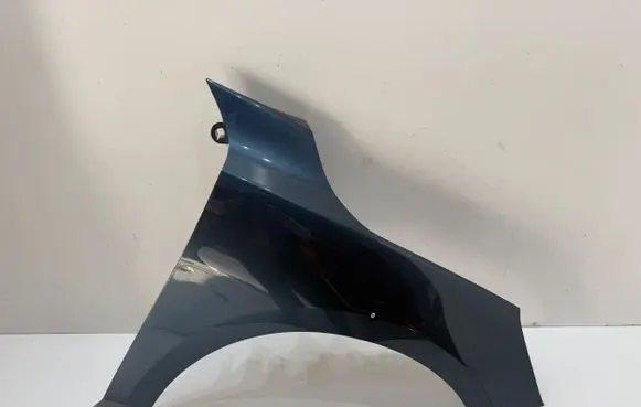 Ford Focus Fender