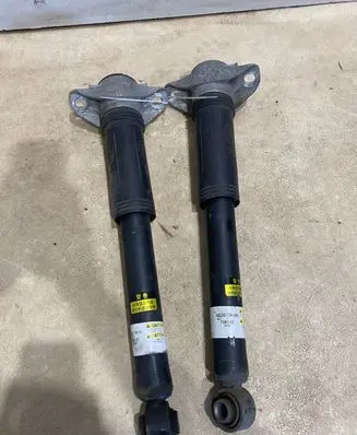 Lexus UX Rear shock absorber/damper 4853076180