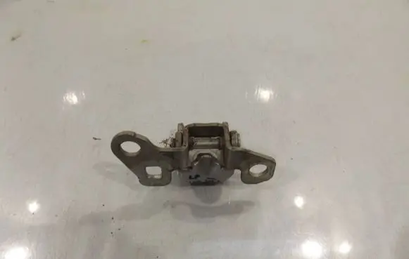 Renault Clio III Front door upper hinge