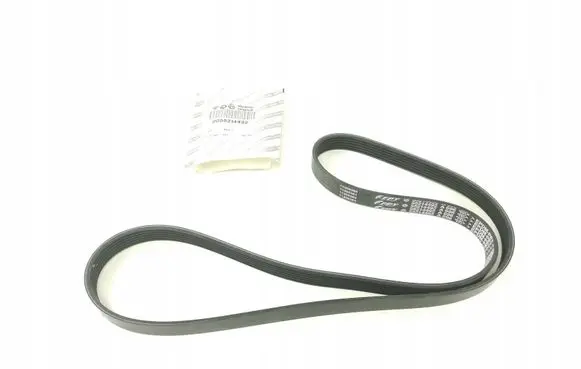 Fiat Doblo Alternator belt 55214492