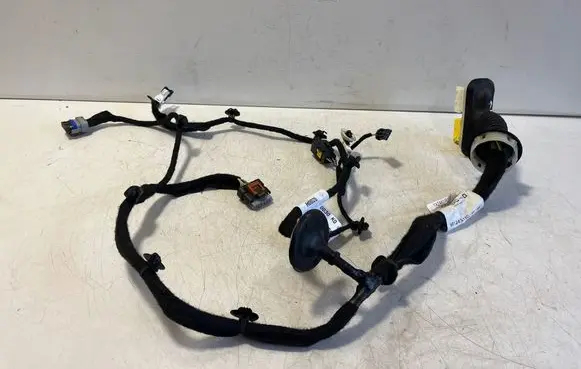 Peugeot Expert Front door wiring loom 9812434180