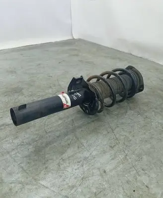 Seat Altea Front shock absorber/damper AGW057MT