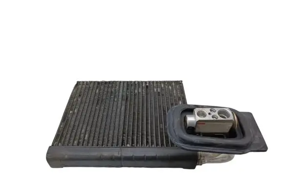 BMW X5 E70 Air conditioning (A/C) radiator (interior) N669161X295 64116968202