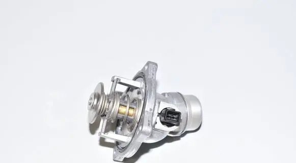 BMW 5 E39 Thermostat 5385296