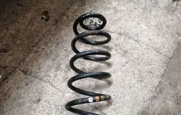 Front coil spring