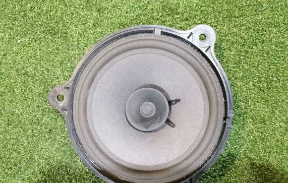 Opel Movano B Front door speaker ABSPCGF20