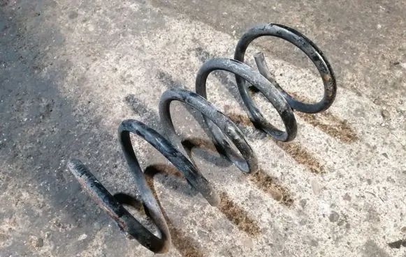 Rear coil spring