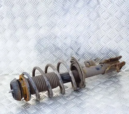 Hyundai i20 (PB PBT) Front shock absorber/damper 46507601J051
