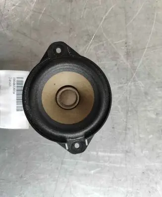 Tesla Model S Panel speaker 100483301A
