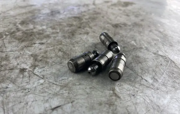 Audi A8 S8 D3 4E Tappets lifter 