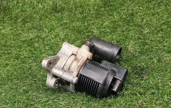 EGR valve