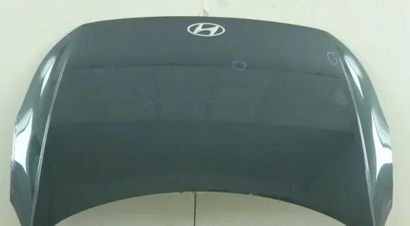 Hyundai Ioniq 5 Engine bonnet/hood