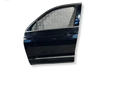 Volkswagen Tiguan Front door 