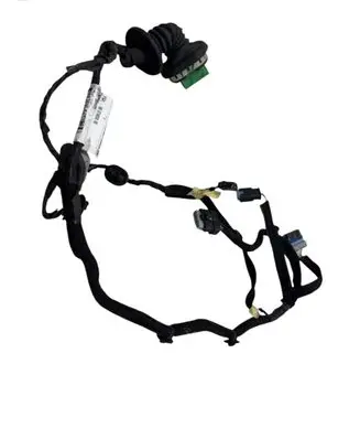 Rear door wiring loom