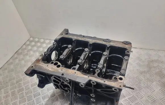 Volkswagen PASSAT B6 Engine block 038AP V1600
