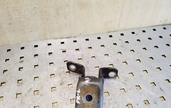 Mazda 3 II Front door lower hinge 