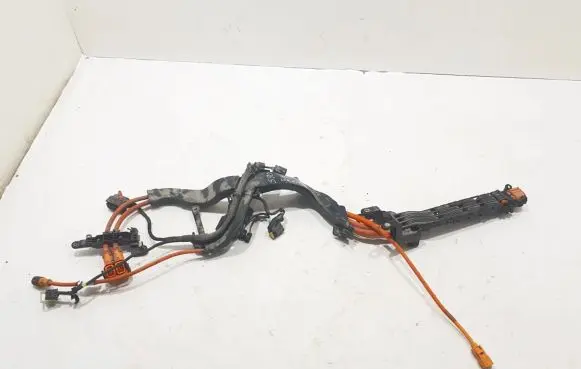 Volvo S90, V90 Other wiring loom 31384342
