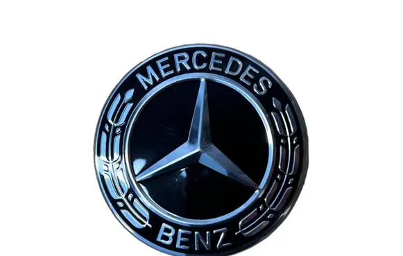 Mercedes-Benz E W213 Original wheel cap A2224002100