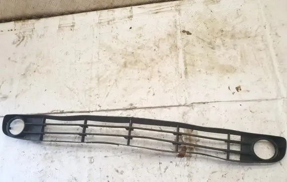 Front bumper lower grill