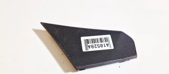 Side speaker trim/cover
