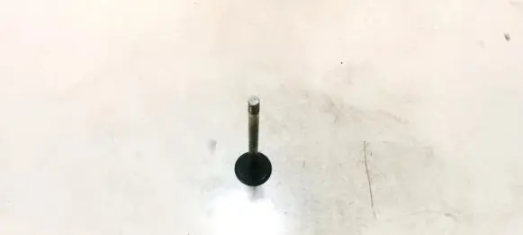 Volkswagen Golf V Valve 