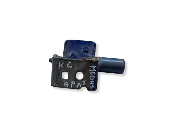 Renault Modus Rear door lower hinge 